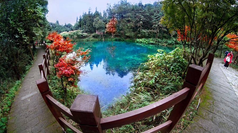 九凤山遇见民宿庄园