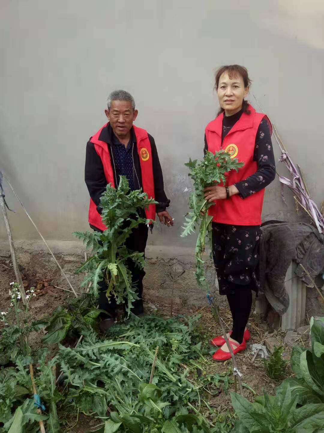 新泰市东都镇:依托网格化,织密禁种铲毒防控网