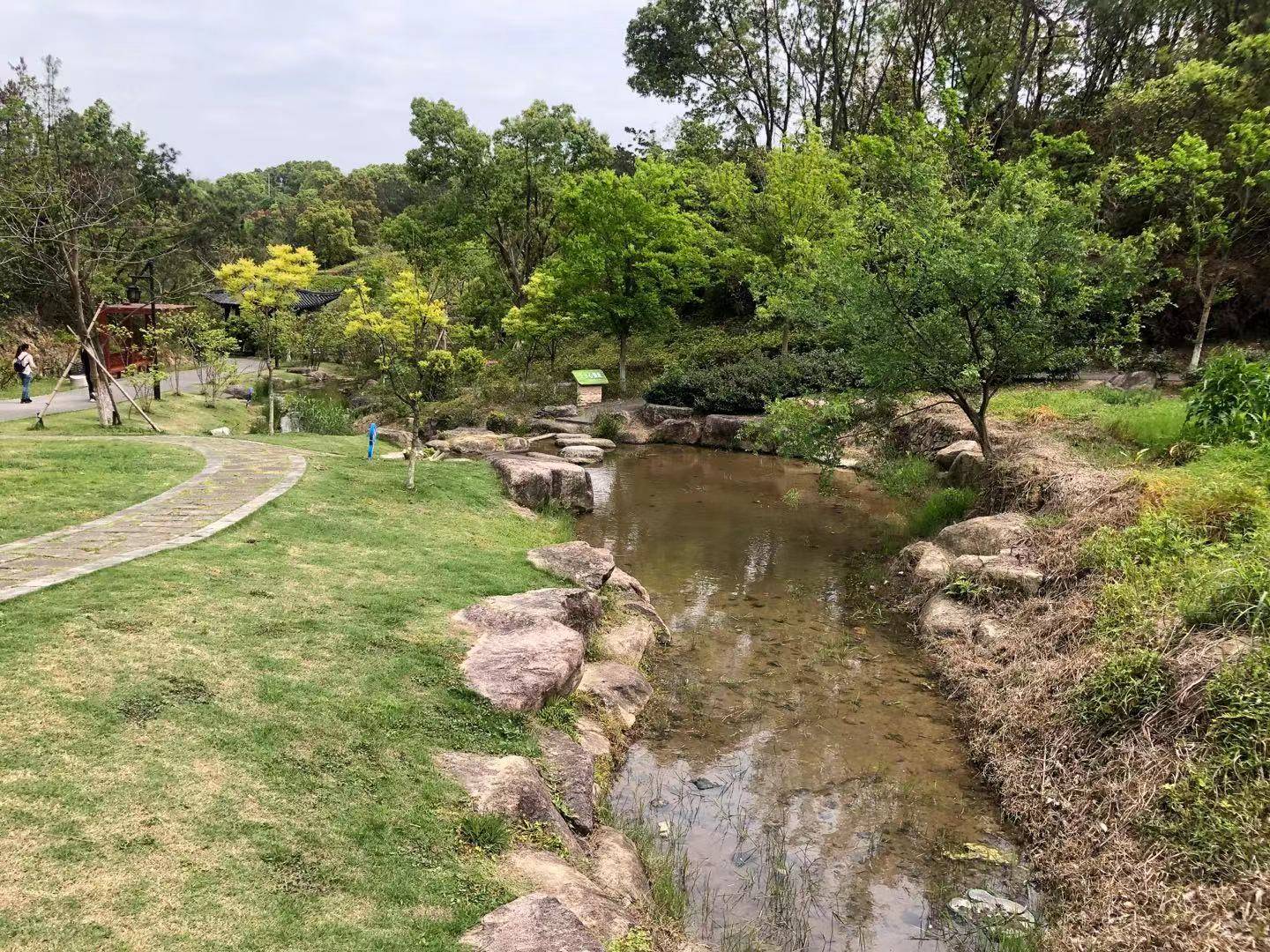 来了给你好看温岭植物园全新亮相一片绚烂多彩的枫叶