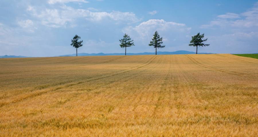电视机要淘汰背后的家电尴尬：有形的产品与无形的服务打通难-家电圈官网