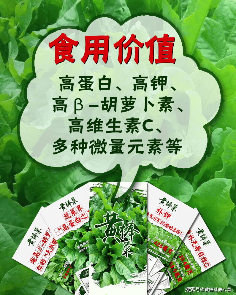 b8e7105b31a84f0ea0e5a8afa00df923.png