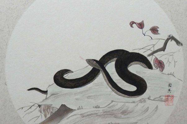 属蛇的是什么命1953 12071f5e4b894e8caf35c551fbb0d65b.jpeg