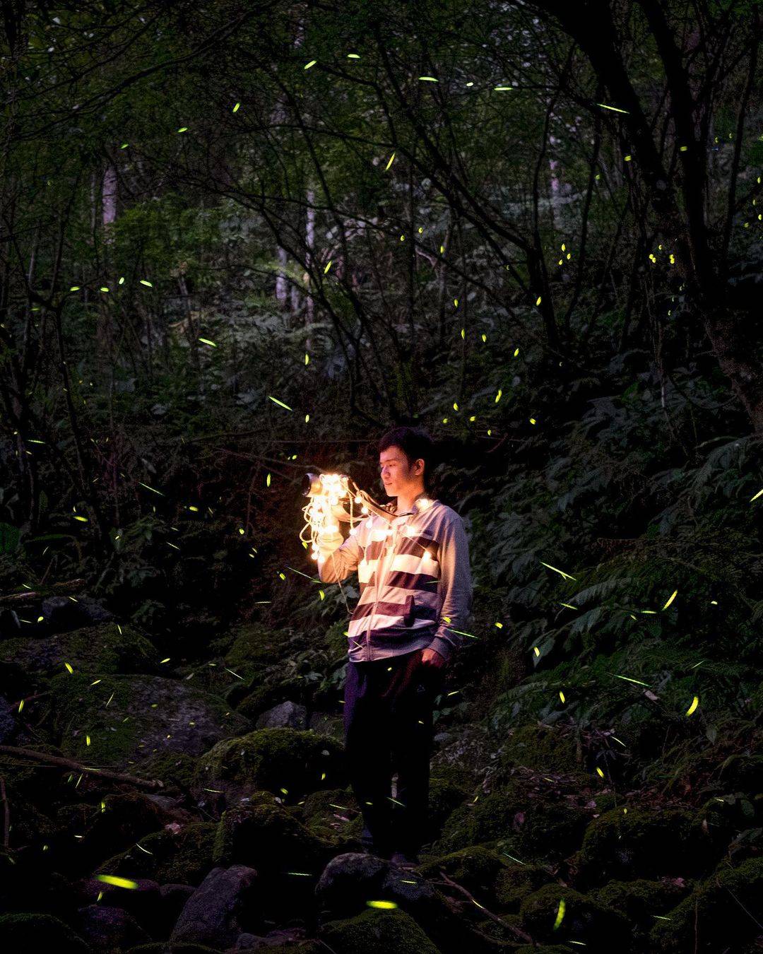 2021最新台北&新北&新竹萤火虫景点top8,点点星光好浪漫,约会胜地也很