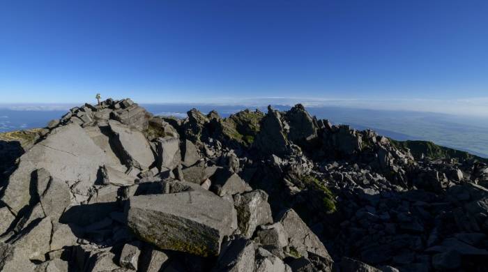 消费市场产品没有热点,家电厂商痛苦有劲没处使!-家电圈官网
