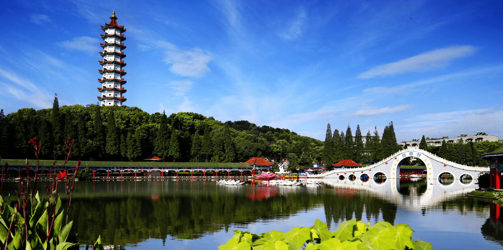 原创全国首个!跑马拉松也要测酒精,长江超级马石首站拒绝赛前饮酒
