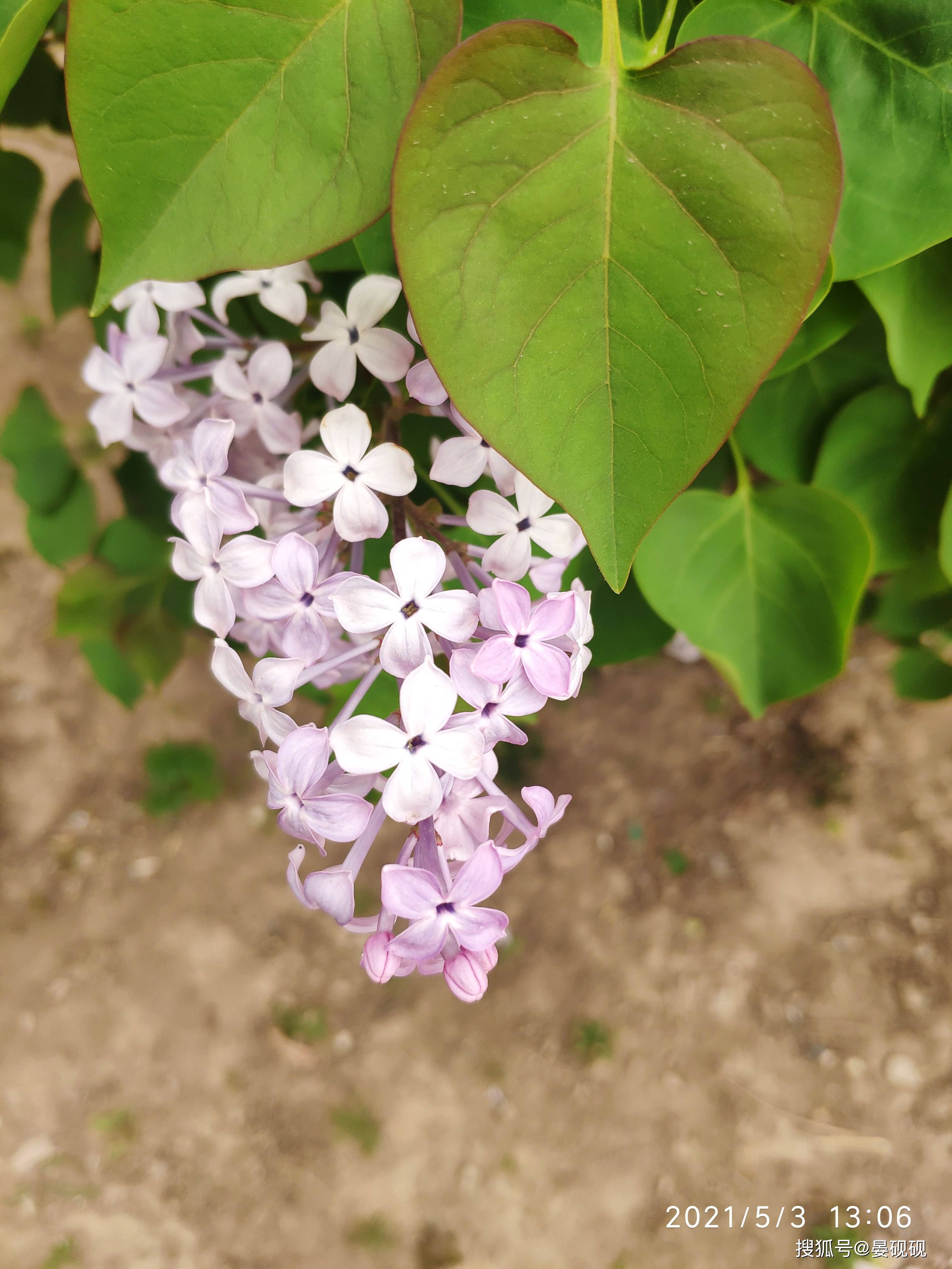 757db7cb338643b8bd69cad20e8bdf95.jpeg