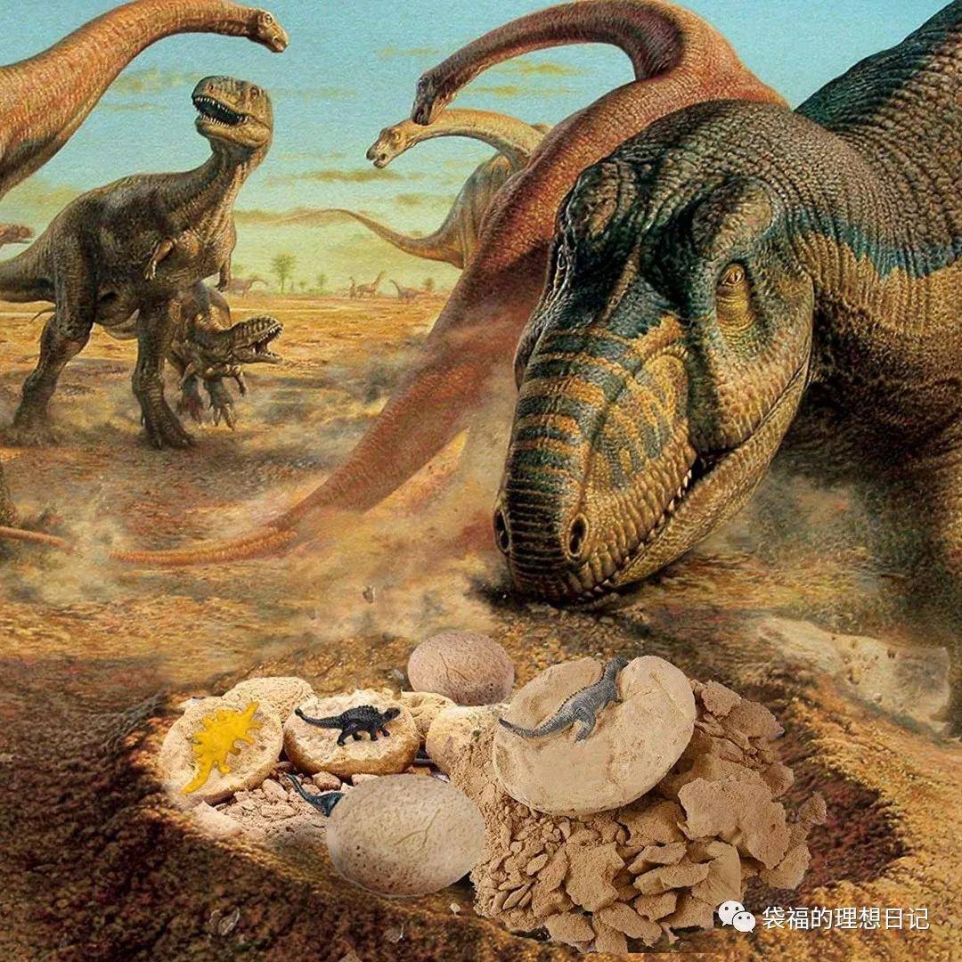 动物学排名_小动物学本领图片(3)