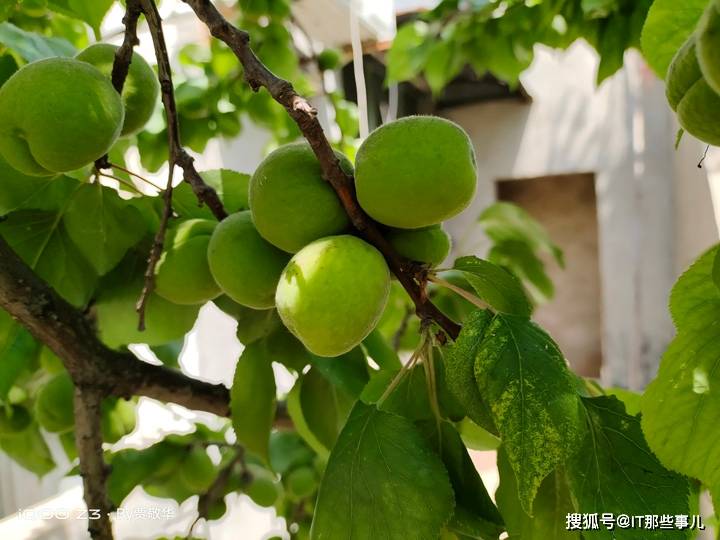 旗舰|配置全面升级 55W闪充加持 iQOO Z3打造千元5G旗舰新标杆
