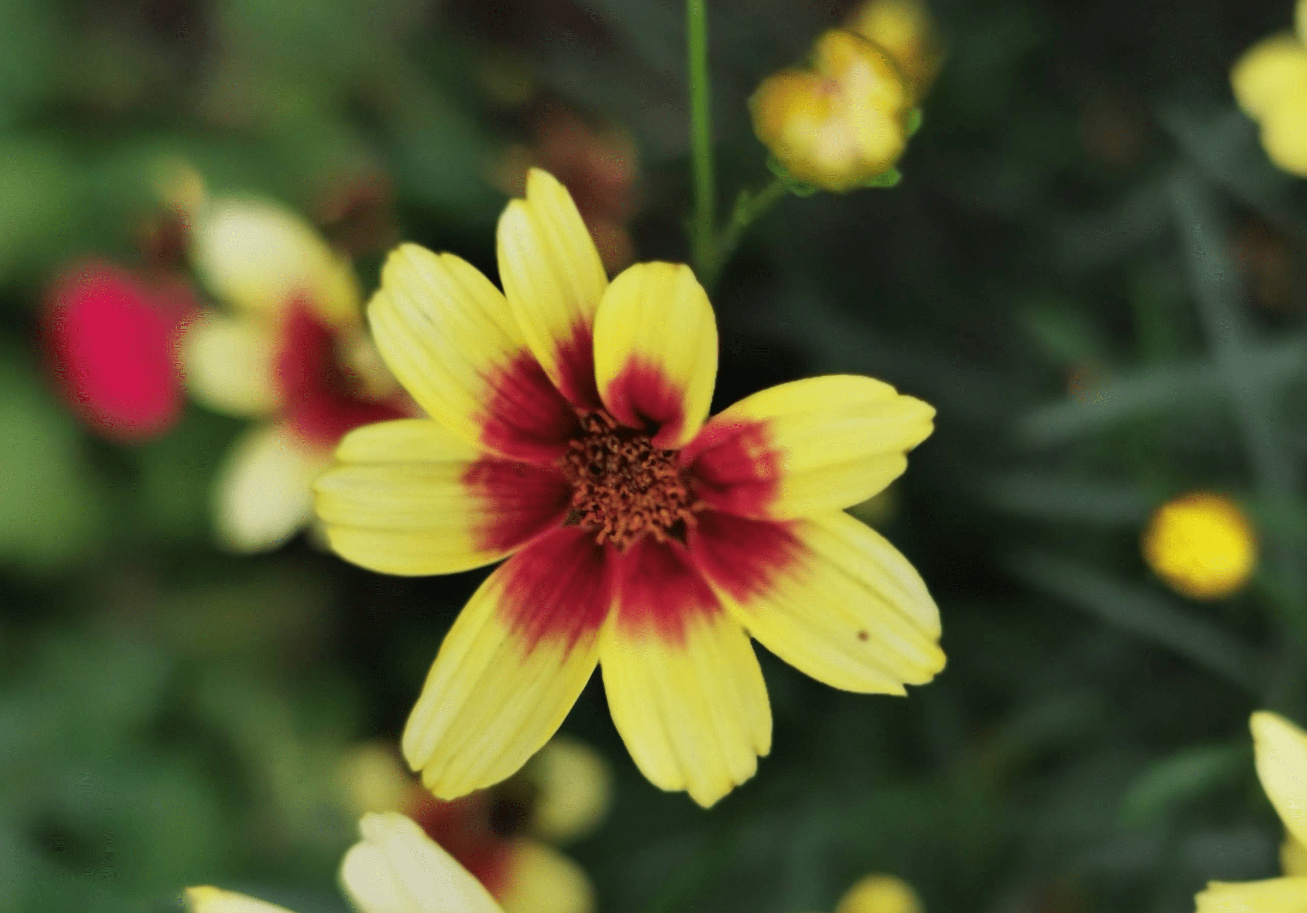 原創恭喜三大生肖,未來一週(5月10號-16號)春光滿面,接福接財喜迎貴人