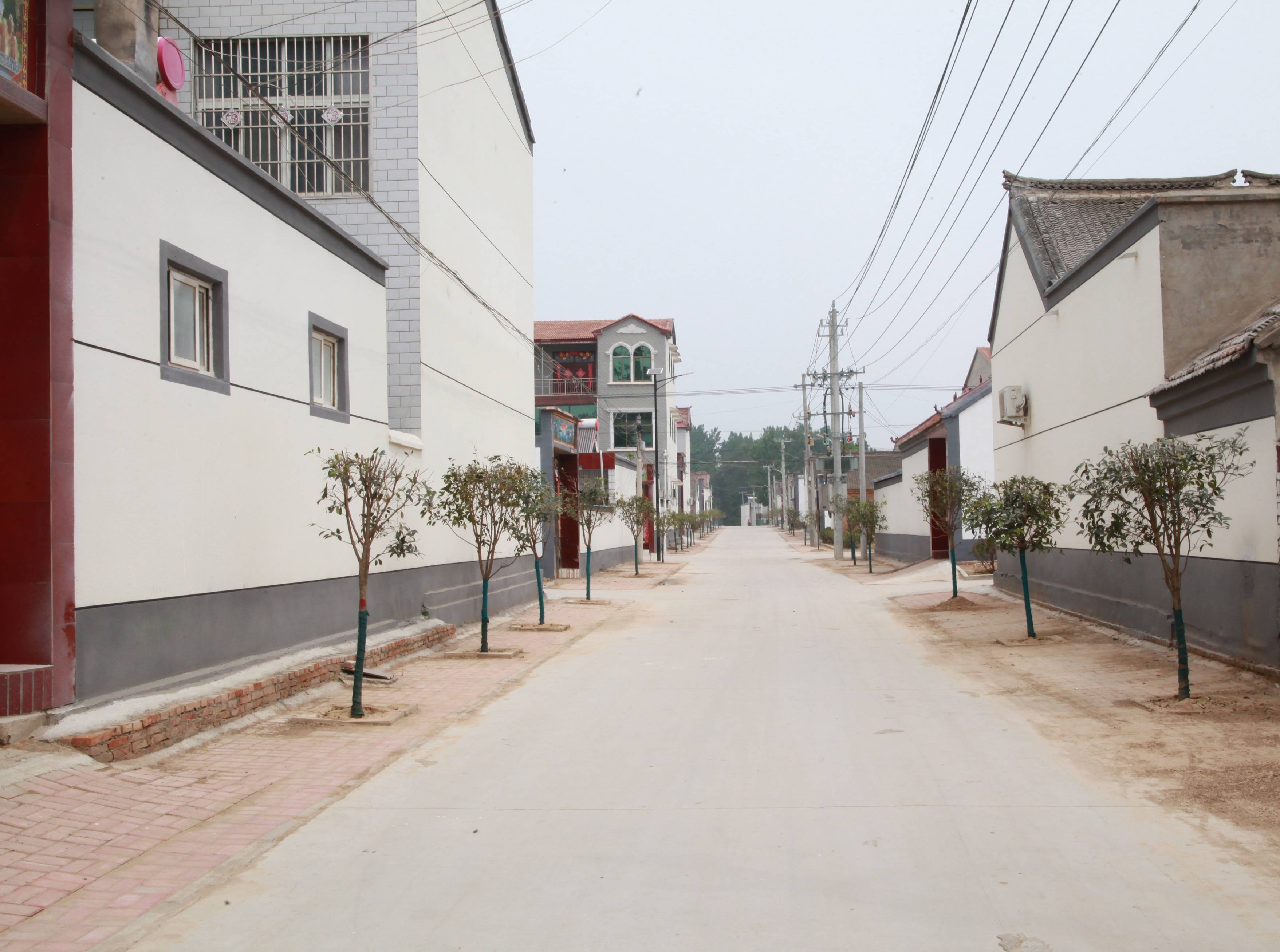 陽堌鎮:提升農村人居環境 建設美麗宜居鄉村_王樓村