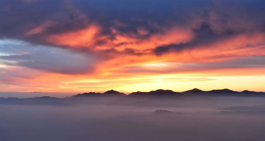 这个小问题将长期困扰家电企业们-家电圈官网