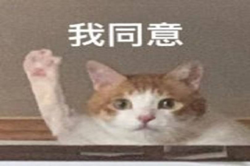 入驻搜狐号 · 看见你的影响力