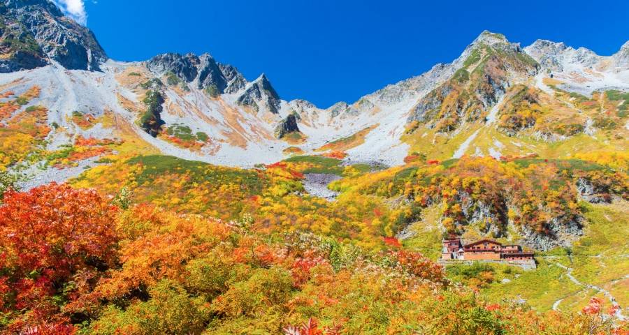 明星代言为何近几年再次受宠家电企业-家电圈官网