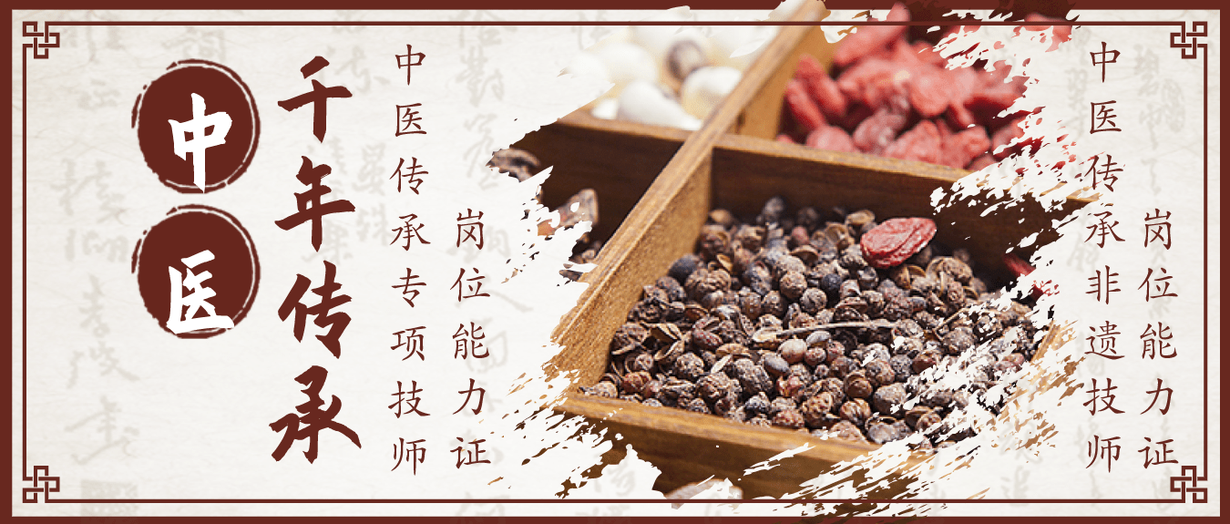 传承中医精华|中医传承专项技师,中医传承非遗技师_中医药