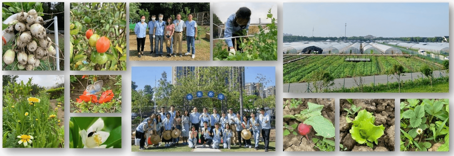 做展会不忘做公益 索尼三箭齐发 助力中国可持续发展-家电圈官网