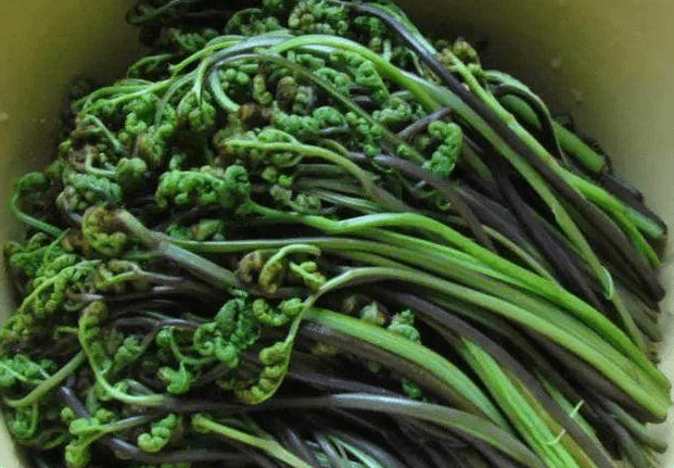 ��������- ���������ʿ�ٴ������֮��