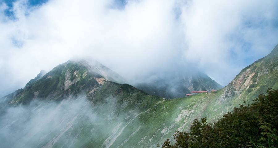 今年起!各个家电厂商要提升一个能力聚焦一个核心-家电圈官网