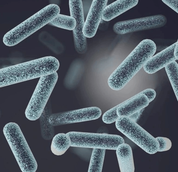  Nat Microbiol：新研究揭示双向启动子在生命三界中普遍存在