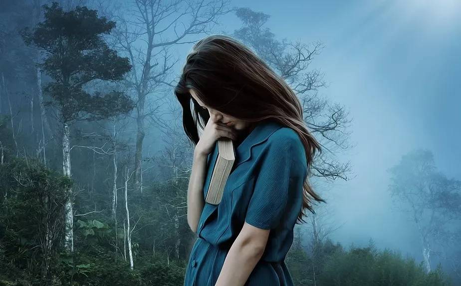 文章配图