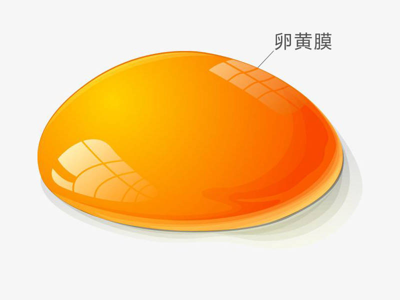 真相竟是小伙伴们不妨翻翻狗粮找找看,如果发现了卵黄膜千万别扔掉,这