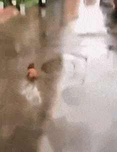 38d996109d2b48e4a884a57065ac5249.gif