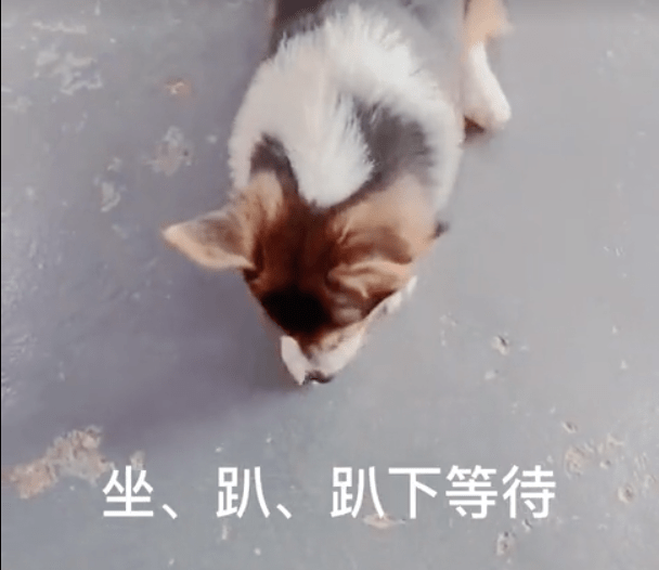 249c8a8031d94dbc8d2e459ef339ee09.png