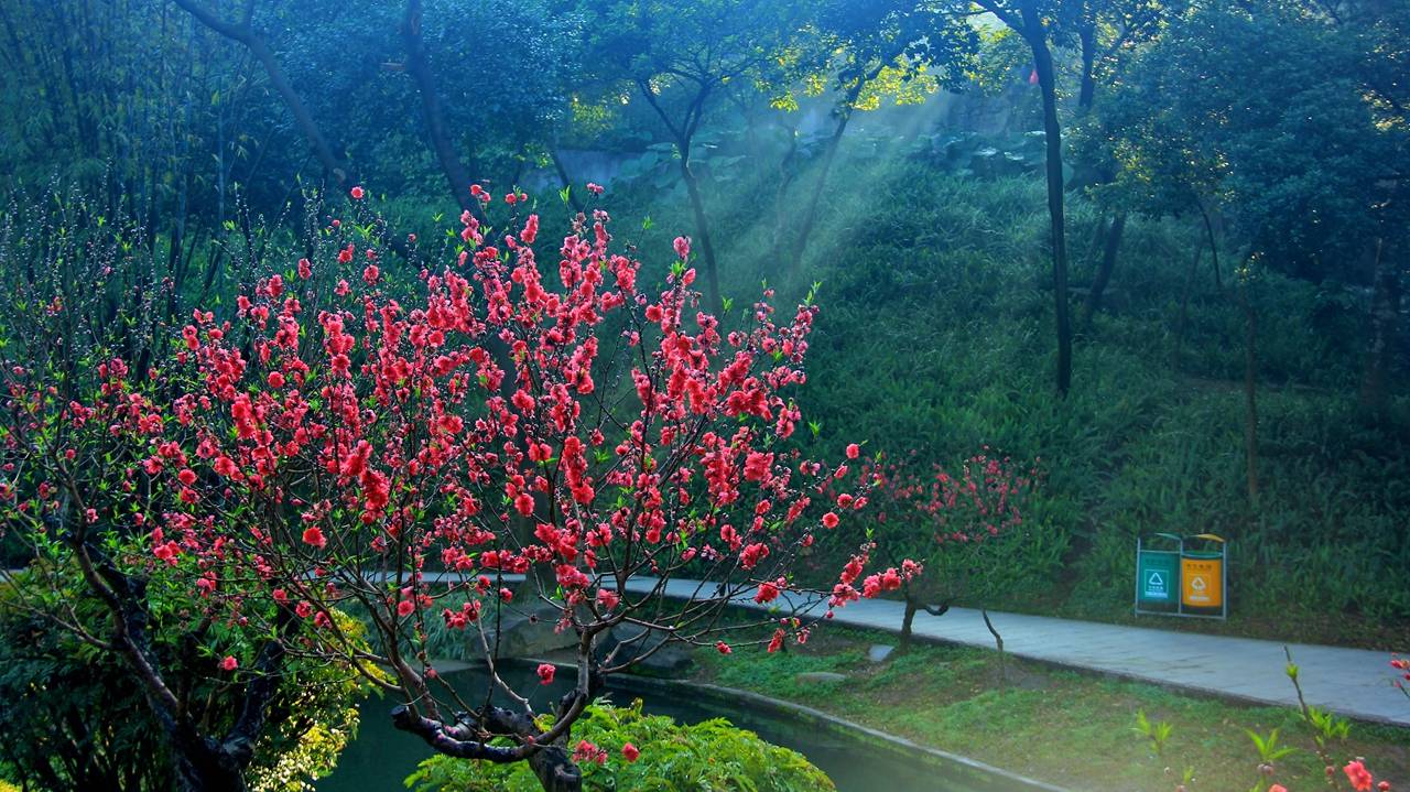 历史|广州桃花涧风景区