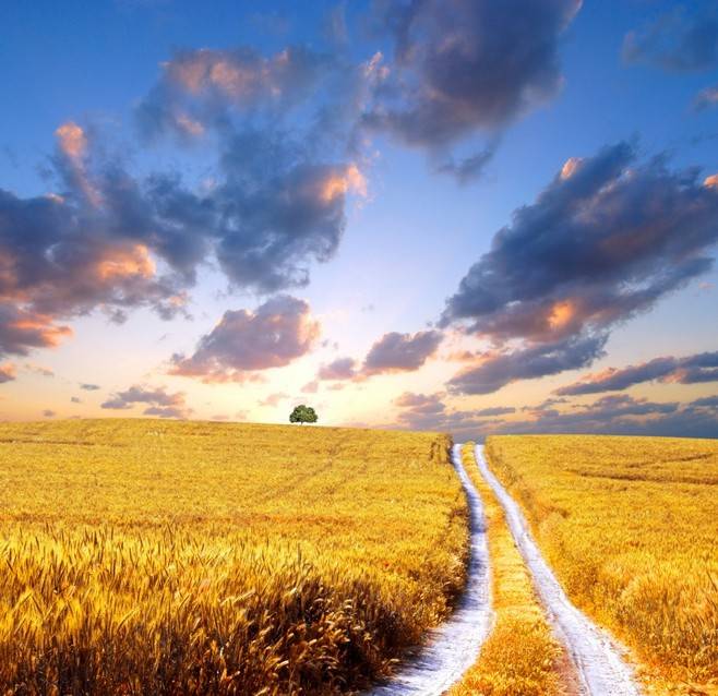 日运 21年 6月29号 4生肖最好运势 家运兴旺 好运不断 属狗