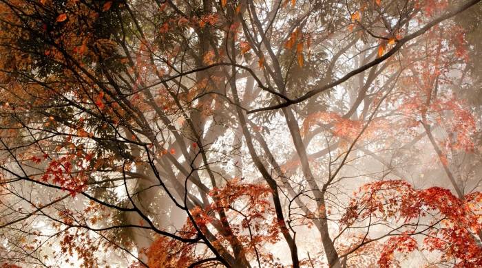 这三座大山不搬走,家电厂商就找不到市场破冰的路!-家电圈官网