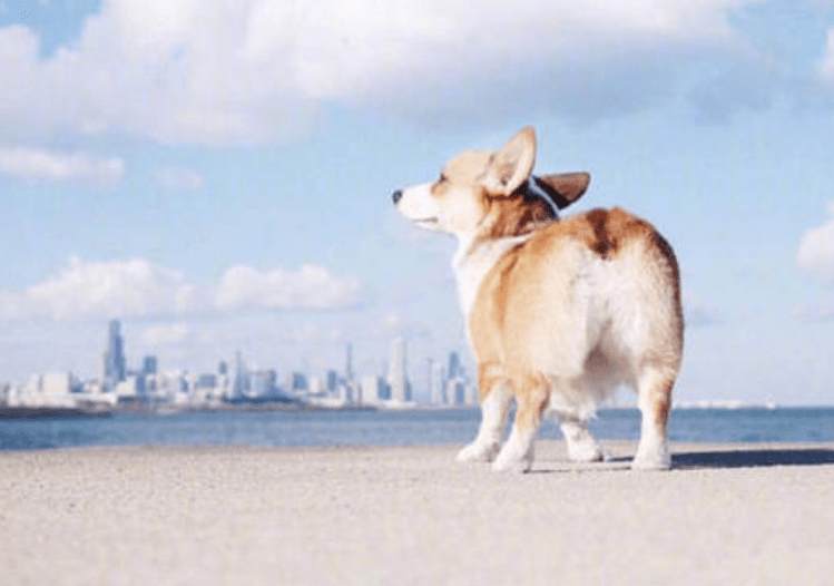 吃什么东西最补钙呢 2a74a4be340e470680e6b250ef09c09d.png