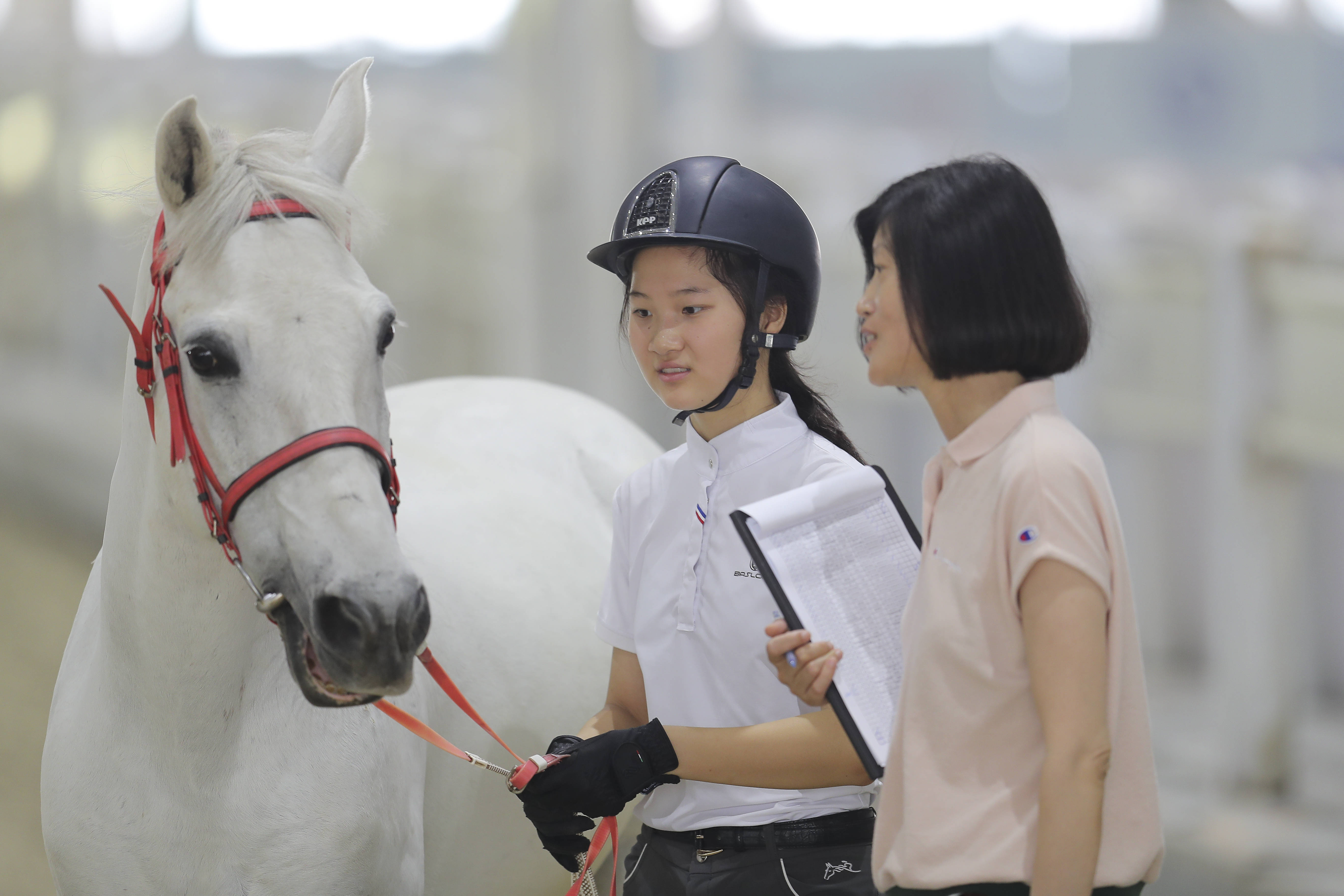 组图:江苏青少年马术锦标赛开赛 赛前验马进行中