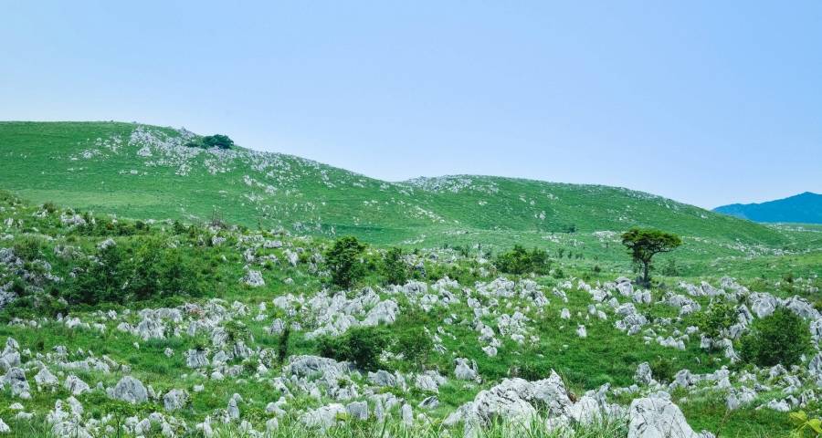 家电企业是拓宽老赛道，还是换条新赛道？没有标准答案-家电圈官网