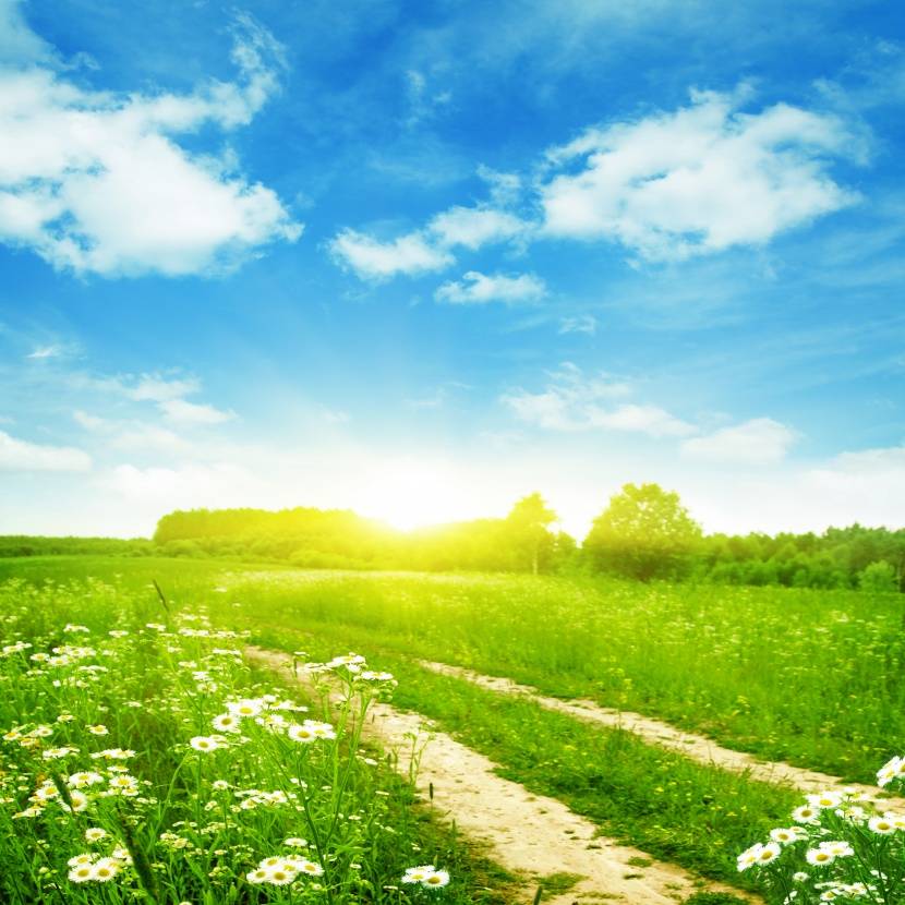 老子|性子急的人千万别养柯基，别问我为什么……