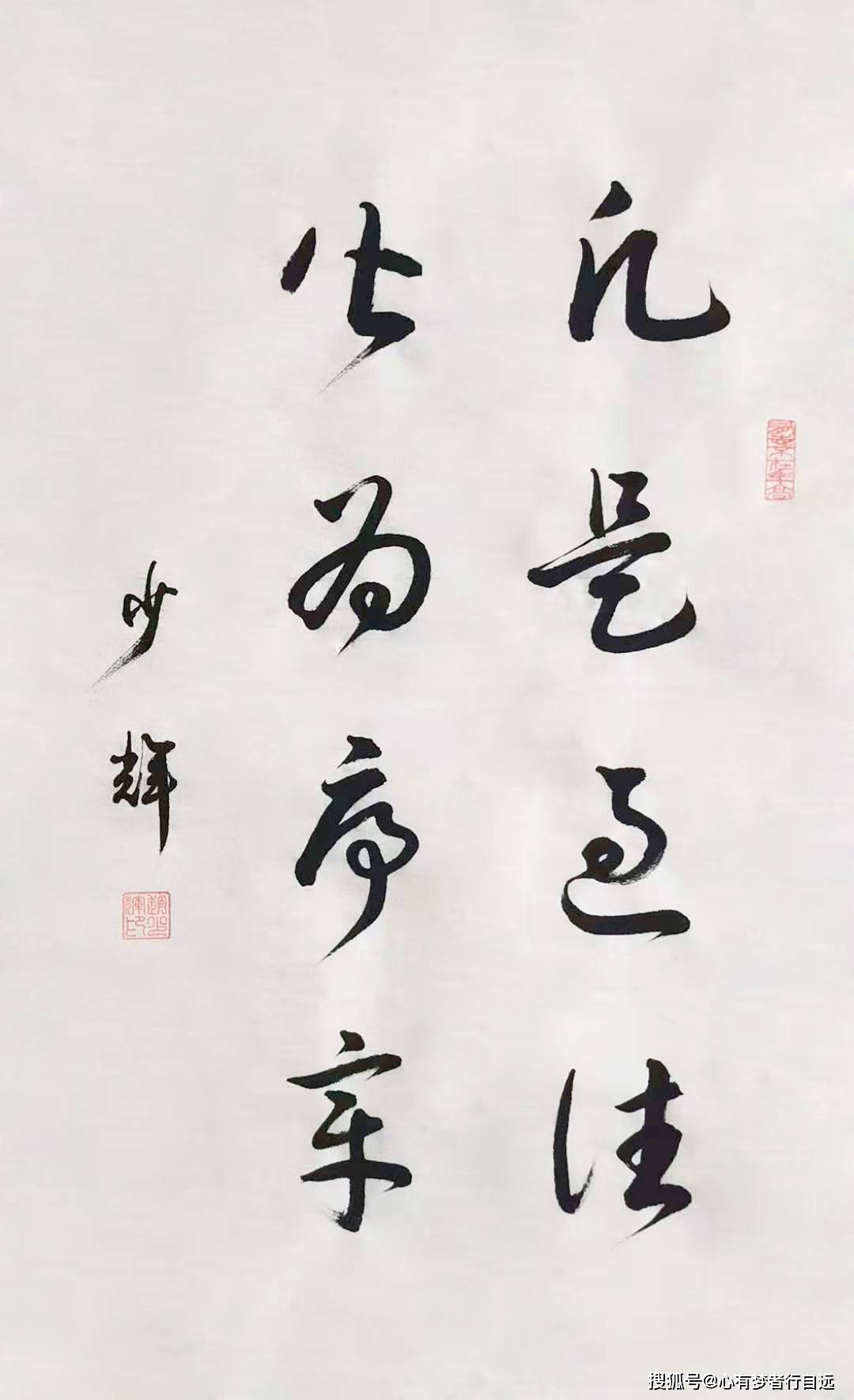 书法欣赏:凡是过往 皆为序章