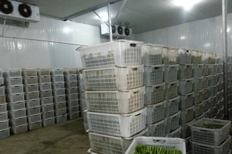 博客制冷:蔬菜小型冷库怎么才能起到保鲜作用?