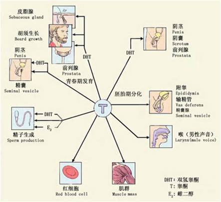 夏天|“油头满面”，是你吗？夏天的油腻脸蛋，该何去何从~南阳艾美美肤专家有话说