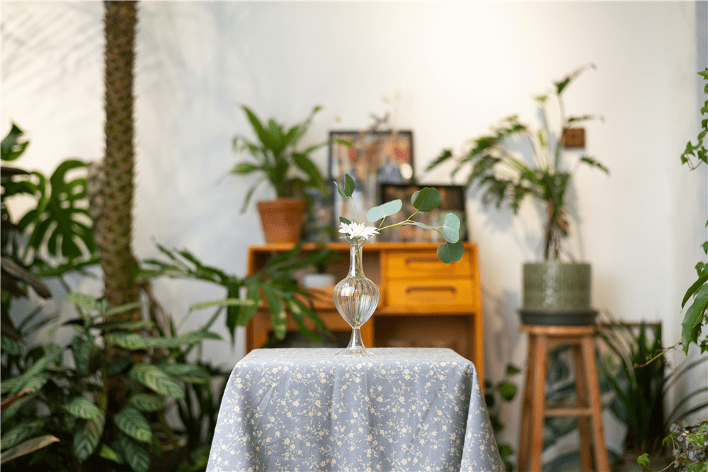 花瓶花插不会怎么办 这些花瓶怎么插都好看 装饰