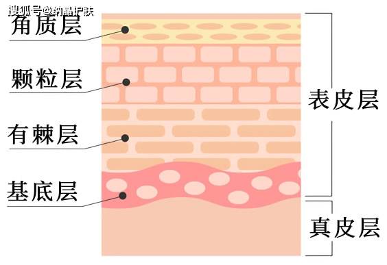 科技|纳晶是什么？它是如何用黑科技，让肌肤10倍有效吸收