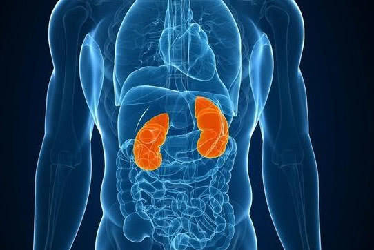 沙坦|肾病末期最忌讳的三类食物,没有之一!