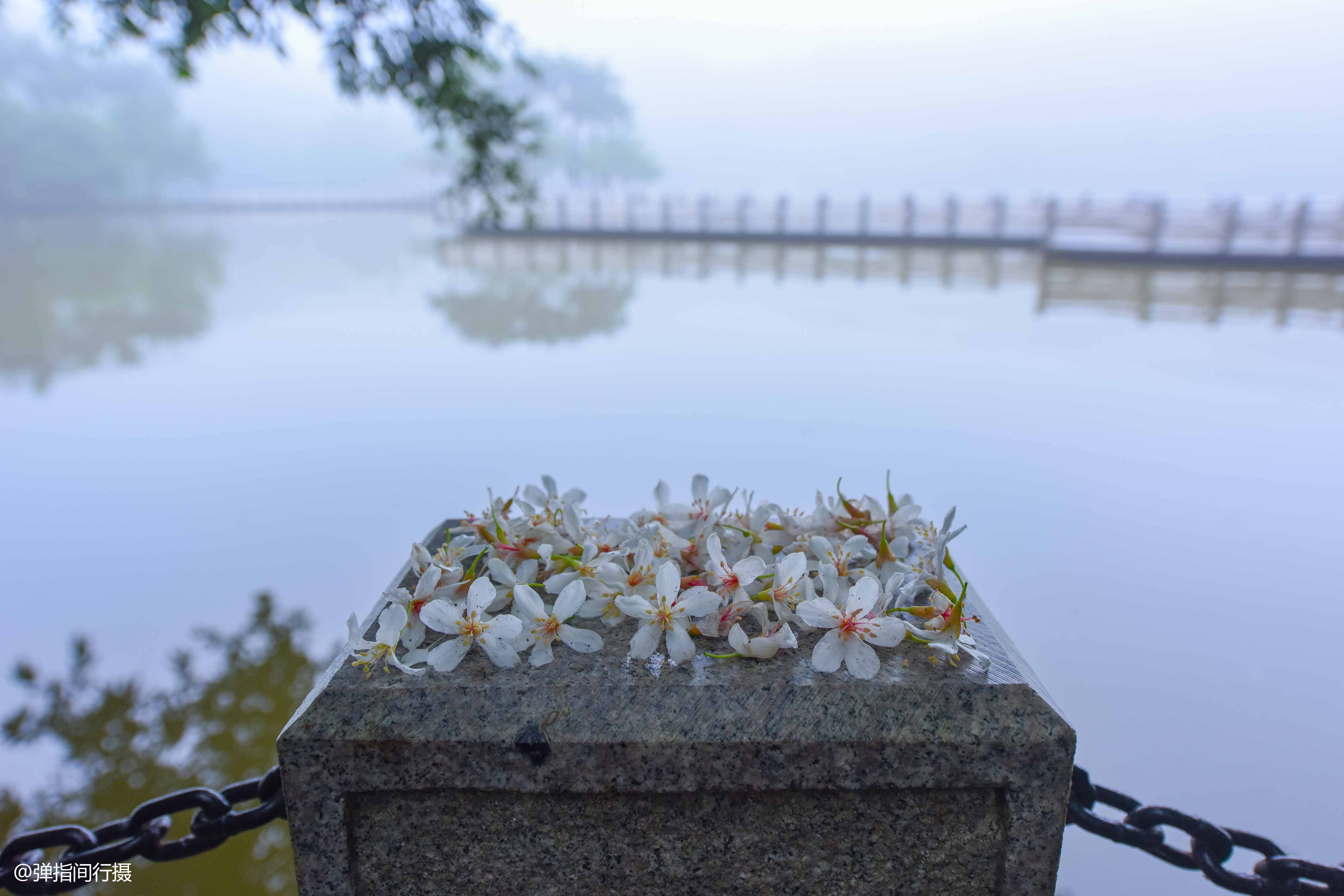 广东|藏在珠三角中心的“避暑胜地”，夏季仅25度，号称“天然空调房”