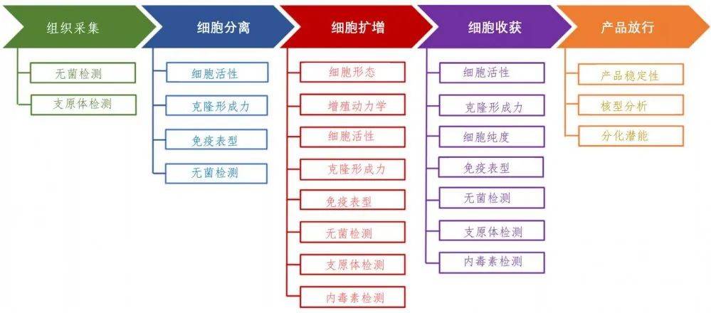 干货:干细胞制剂临床前试验方案那点事