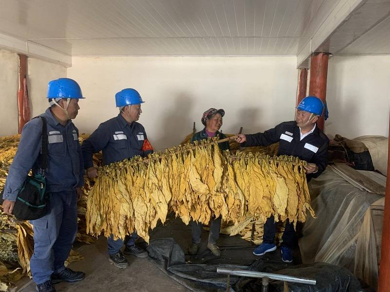 电力助力烤烟产业烟农笑开颜.活水乡上黑木2号公变安装开关.