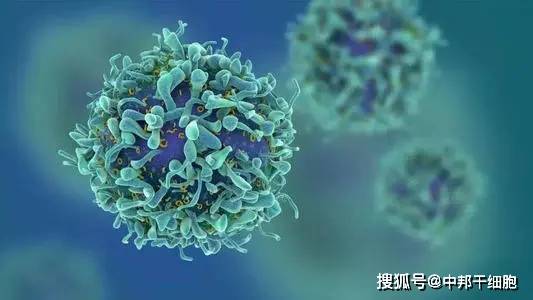 肾脏|干细胞治疗技术帮尿毒症患者康复