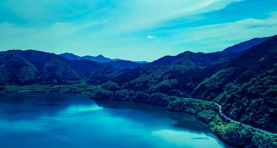 拓展细分品类市场，或是家电经销商“脱贫致富”的新手段-家电圈官网