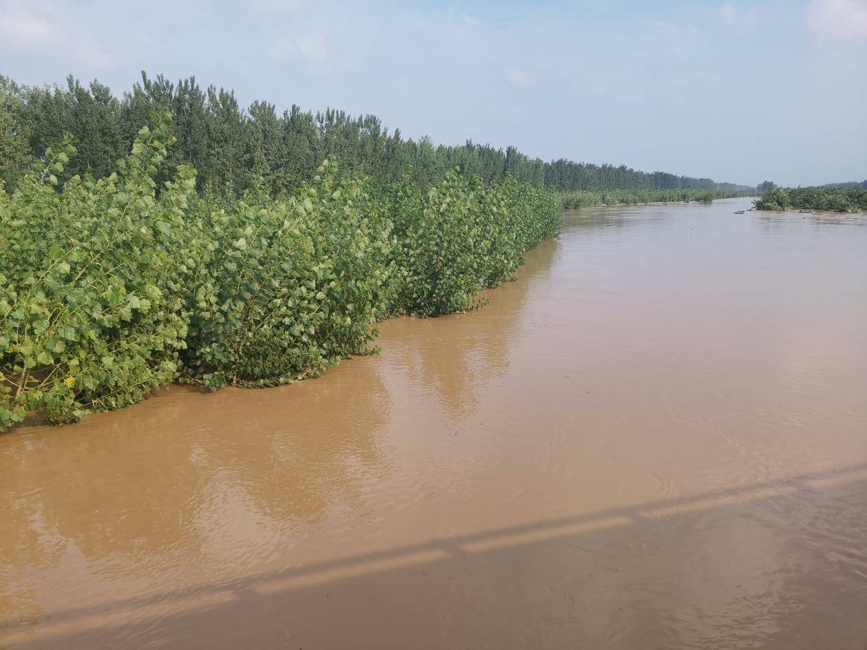 近期以来,受上游河道泄洪影响,尉氏县贾鲁河,康沟河,西三干渠等重点