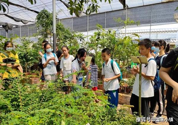 国医小镇科普研学走进科普基地探索中医药神秘力量