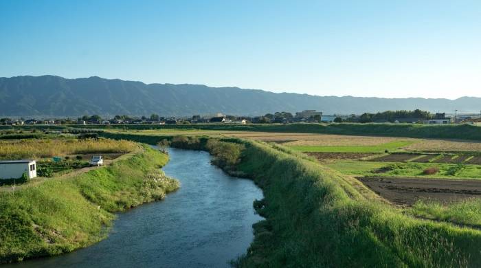 靠讲故事来卖货？家电厂商要从小伎俩变成大战略-家电圈官网