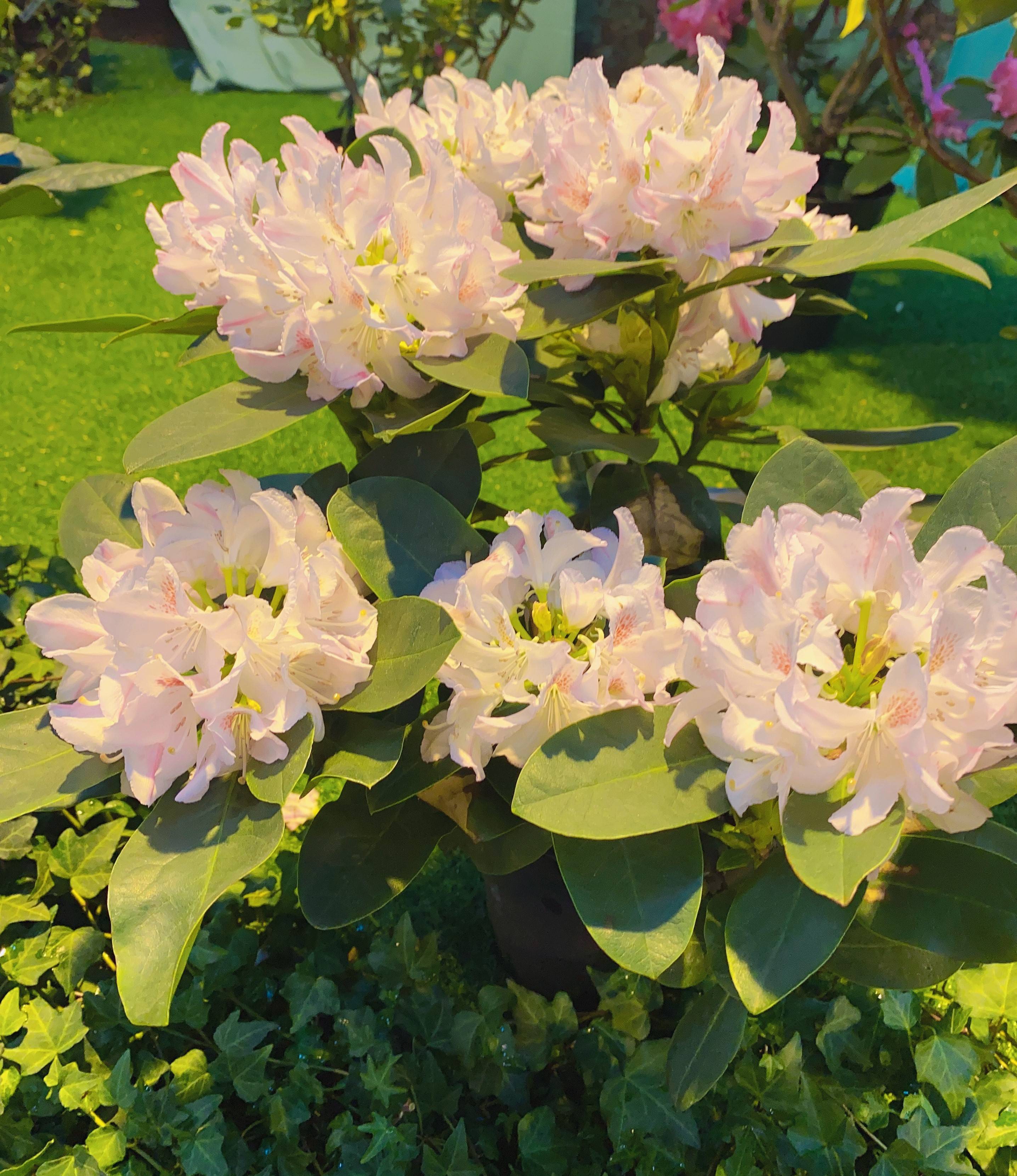 生活|无论和谁谈恋爱，无论对方有多靠谱，这5件傻事都千万不要做！