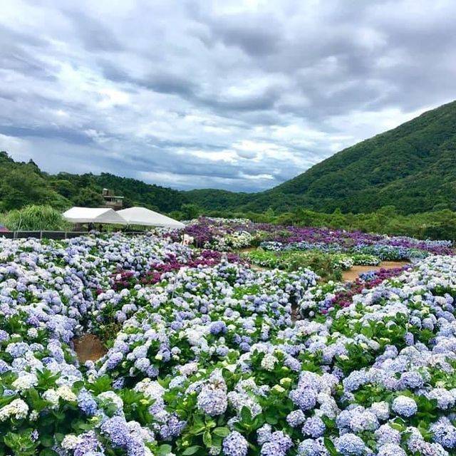 新北 万里一日轻旅行计划 8大必访景点 炎炎夏日来趟北海岸之旅吧