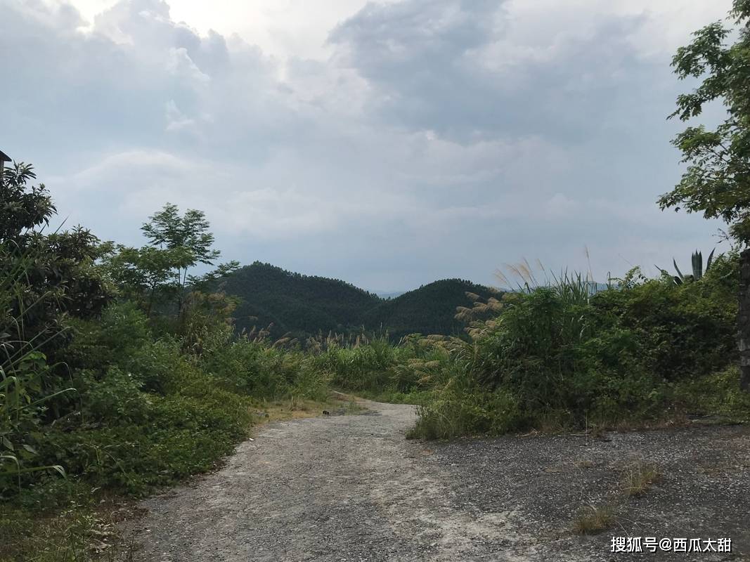 文章配图-29